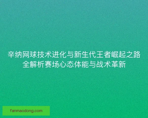 辛纳网球技术进化与新生代王者崛起之路全解析赛场心态体能与战术革新