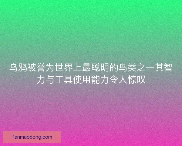 乌鸦被誉为世界上最聪明的鸟类之一其智力与工具使用能力令人惊叹