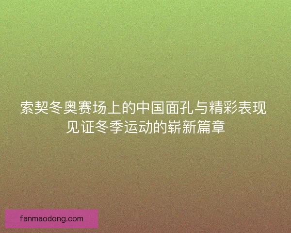 索契冬奥赛场上的中国面孔与精彩表现 见证冬季运动的崭新篇章