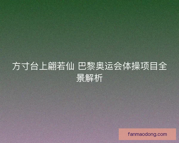 方寸台上翩若仙 巴黎奥运会体操项目全景解析