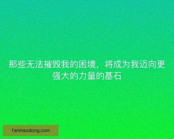 那些无法摧毁我的困境，将成为我迈向更强大的力量的基石